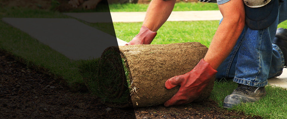 Scottdale Landscapers